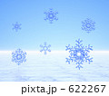 雪の結晶