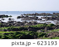 穏やかな磯の海