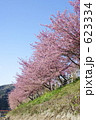 河津町の河津桜並木