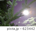太陽