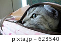 623540