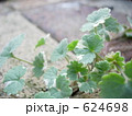 レンガとグレコマ