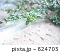 ハーブとレンガ