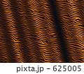 625005