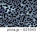 625043