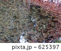 625397