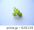 セダム