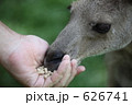 626741