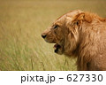 627330