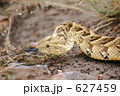 627459