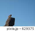 一匹狼