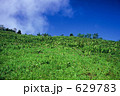 白山　御花畑
