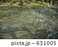 花筏（はないかだ）