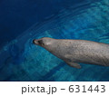 ゆったりアザラシ2 ゆったりアザラシ2