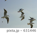 宙に浮くかもめ(東京湾フェリー) 宙に浮くかもめ(東京湾フェリー)