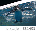 飛び込んだペンギン 飛び込んだペンギン