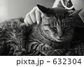人恋しくて