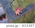 紅葉椅子