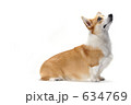 アイコンタクト