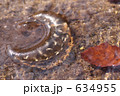 634955