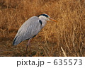 鷺18