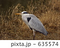 鷺17