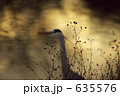 鷺14