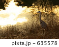鷺12