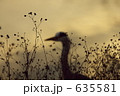 鷺09