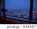 夜景を覗く