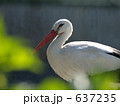 素材ナンバー 637235 : 「無題」