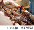 魚河岸の魚