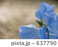 637790
