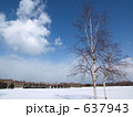 冬の前田森林公園