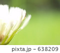 素材ナンバー 638209 : 「無題」