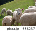 素材ナンバー 638237 : 「無題」