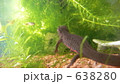 638280