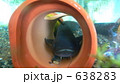 638283