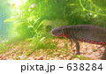 638284