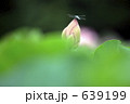 639199