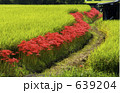 639204