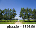 一本道