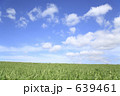 草原と空