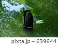 活ける