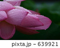 濡れ蓮