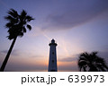 野間灯台とやしの木