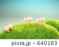 豚くん