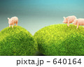 豚くん