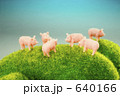 豚くん