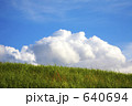 草原と夏雲